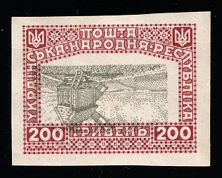 1920 200hrn Ukrainian People's Republic, Ukraine, INVERTED Center