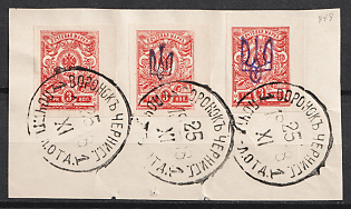 1918 VORONOK Postmarks, 3k Kiev (Kyiv) Types 1 and 2 on piece, Ukrainian Tridents, Ukraine