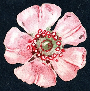 1915  St. Petersburg, Poppy flower, Russian Empire WWI Charity label