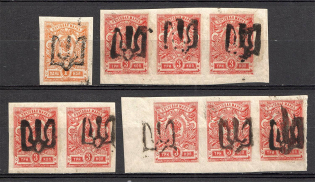 Podolia Type 2, Ukraine Tridents (Signed)
