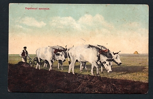 Postcard, Ukraine People Types, Plowing the field