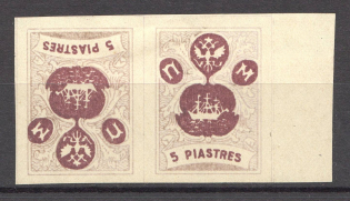 1919 Russia Offices ROPiT `Wild Levant` Pair Tete-beche 5 Pia