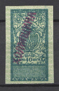 Ukraine Kholmshchyna Shramchenko Local Issue 40 Шагів