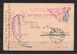 Prisoner of War Postcard, Form of Turkestan District, Tashkent. Censorship of the Turkestan Commission and Austria