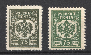 1919 Russian Post Civil War 75 kop (Varieties of Color)