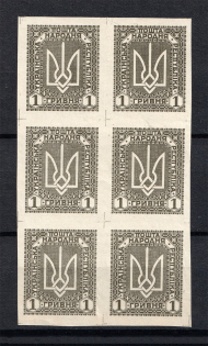 1920 1Г Ukrainian Peoples Republic, Ukraine (IMPERFORATED, CV $280, Vertical Block, MNH)