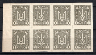 1920 1Г Ukrainian Peoples Republic, Ukraine (IMPERFORATED, CV $560, Horizontal Block with Field, MNH)