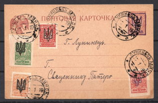 1919 Luninec Local Postal Card (Kiev 2 + Kiev 3)