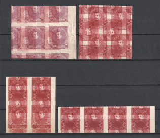 1920 40Г Ukrainian Peoples Republic, Ukraine (on Map, TWO Sides MULTIPLY Printing, MNH)