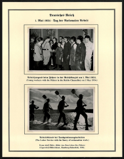 Big Lot of NSDAP Photohistory (19 pictures)