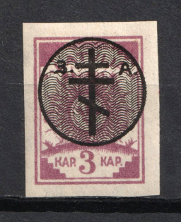 1919 3K Russia West Army, Russia Civil War