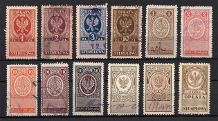 Poland Postage Due Revenue Stamps (Canceled)