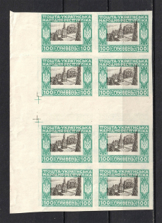 1920 60Г Ukrainian Peoples Republic Ukraine (Two Sides MULTIPLY Printing + Shifted Center, Gutter-Block, MNH)