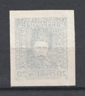 1920 20Г Ukrainian Peoples Republic Ukraine (OFFSET, Print Error, Blue Grey, MNH)