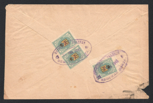 Ostrov Zemstvo 1915 (10 June) registered cover locally addressed from the village Greski to the administation of the district