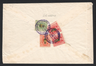 Pskov Zemstvo 1917 (23 Dec) registered local cover (complaint) from a village of the volost Sidorovskaya to the Sidorov volost court