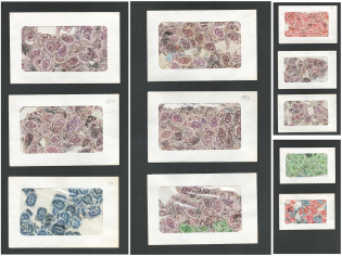 Russian Empire, Collection (11 Glassines with hundreds of stamps, Various Cancellations)