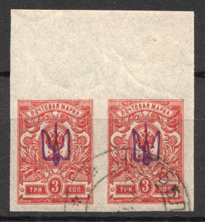 Novobelitsa Type 2 LOCAL - 3 Kop, Ukraine Tridents Pair (CV $750, Canceled NOVOBELITSA MOGILEV)