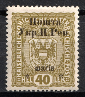 1919 40 sh Stanislav, West Ukrainian People's Republic (Signed, CV $30)