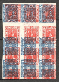 1920 Ukraine Block (Multiple Two Sides Printing, Print Error, MNH)