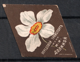 Dolina Advanced Transport, Russia