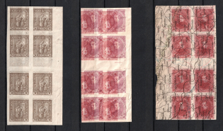1920 Ukrainian People's Republic, Gutter-blocks (Proofs, Print on Polish Map, MNH)