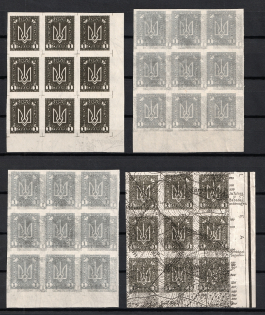 1920 Ukrainian People's Republic, Blocks of Nine (Proofs, Print on Polish Map, MNH)