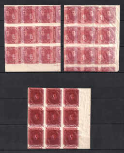 1920 Ukrainian People's Republic, Blocks of Nine (Proofs, Print on Polish Map, MNH)