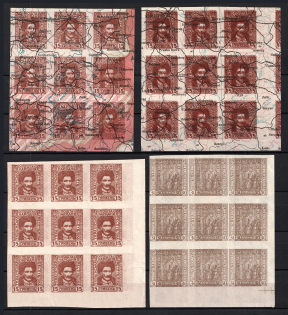 1920 Ukrainian People's Republic, Blocks of Nine (Proofs, Print on Polish Map, MNH)