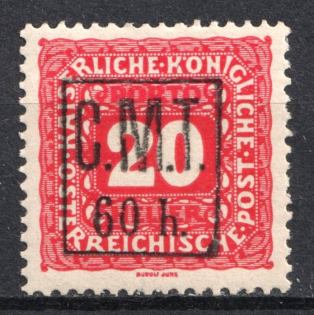 1919 60h/20h Romanian Occupation of Kolomyia CMT (MNH)