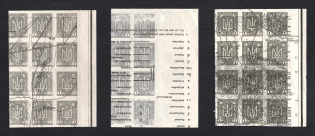 1920 1h Ukrainian Peoples Republic, Blocks of Twelve (Proofs, Print on Polish Map, MNH)