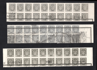 1920 1h Ukrainian Peoples Republic, Blocks of Twenty (Proofs, Print on Polish Map, MNH)