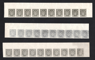 1920 1h Ukrainian Peoples Republic, Strips (Proofs, Print on Polish Map, Corner Margins, MNH)