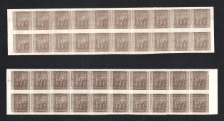 1920 30h Ukrainian Peoples Republic, Blocks of Twenty (Proofs, Multiply Printing, MNH)