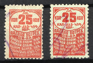 25k Consumer Society, Partnership Fee, Russia (Canceled)