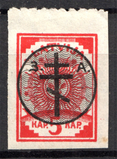 1919 Russia West Army Civil War 5 Kap