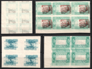 1920 Ukrainian People's Republic, Ukraine, Blocks (Print Errors, MNH)