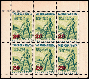 1948 '20' Regensburg, Ukraine, DP Camp, Displaced Persons Camp, Full Sheet (Wilhelm 40 A, Rare, MNH)