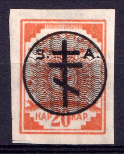 1919 20k West Army, Russia, Civil War (CV $40)