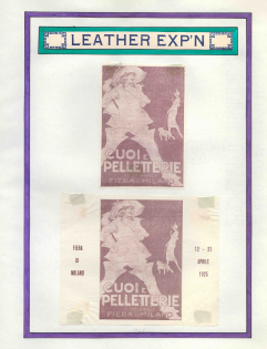 1925 Leather Exhibition, Fair in Milan, Italy, Stock of Cinderellas, Non-Postal Stamps, Labels, Advertising, Charity, Souvenir Sheet (#692)