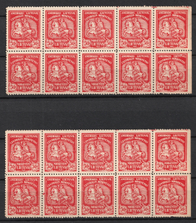 American-Lithuanian Central Committee, Stock of Cinderellas, Non-Postal Stamps, Labels, Advertising, Charity, Propaganda, Blocks