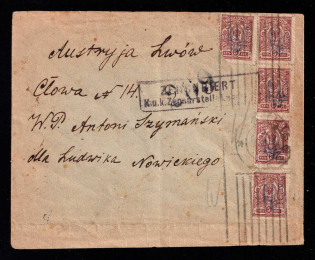 1918 Ukraine, Russian Civil War Censored cover from Kyiv to Lviv (Lemberg, Austria-Hungary occupation), total franked with 25k tridents of Kyiv 2 Blue overprint, with censor #209 handstamp and label on the back