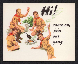 United States, Scouts, Booklet, Scouting, Scout Movement, Cinderellas, Non-Postal Stamps