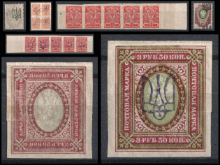 1918 Kyiv, Ukrainian Tridents, Ukraine