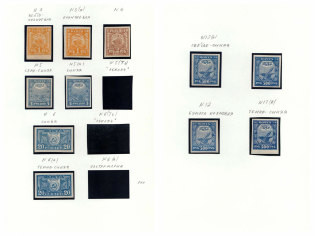 1921 RSFSR, Russia (Variety of Shades)