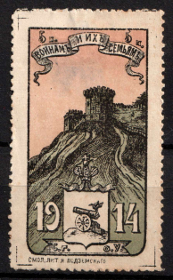 1914 5k For Soldiers and their Families, Russia, Cinderella, Non-Postal