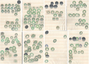 Germany, Collection of Official Seals